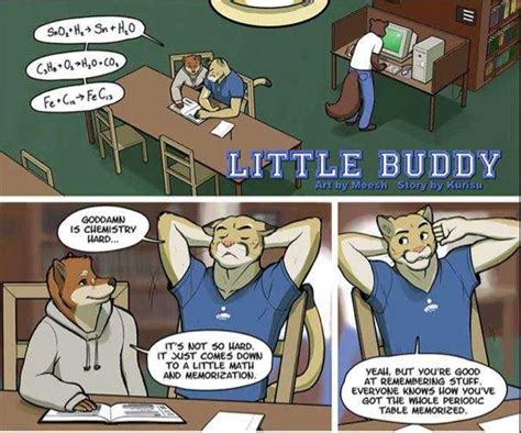 gay furry animations|24 Best Gay Furry Comics of All Time